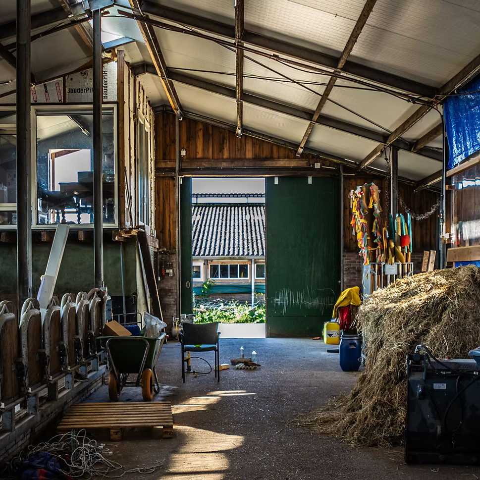 Koeienschuur boerderij De Meent