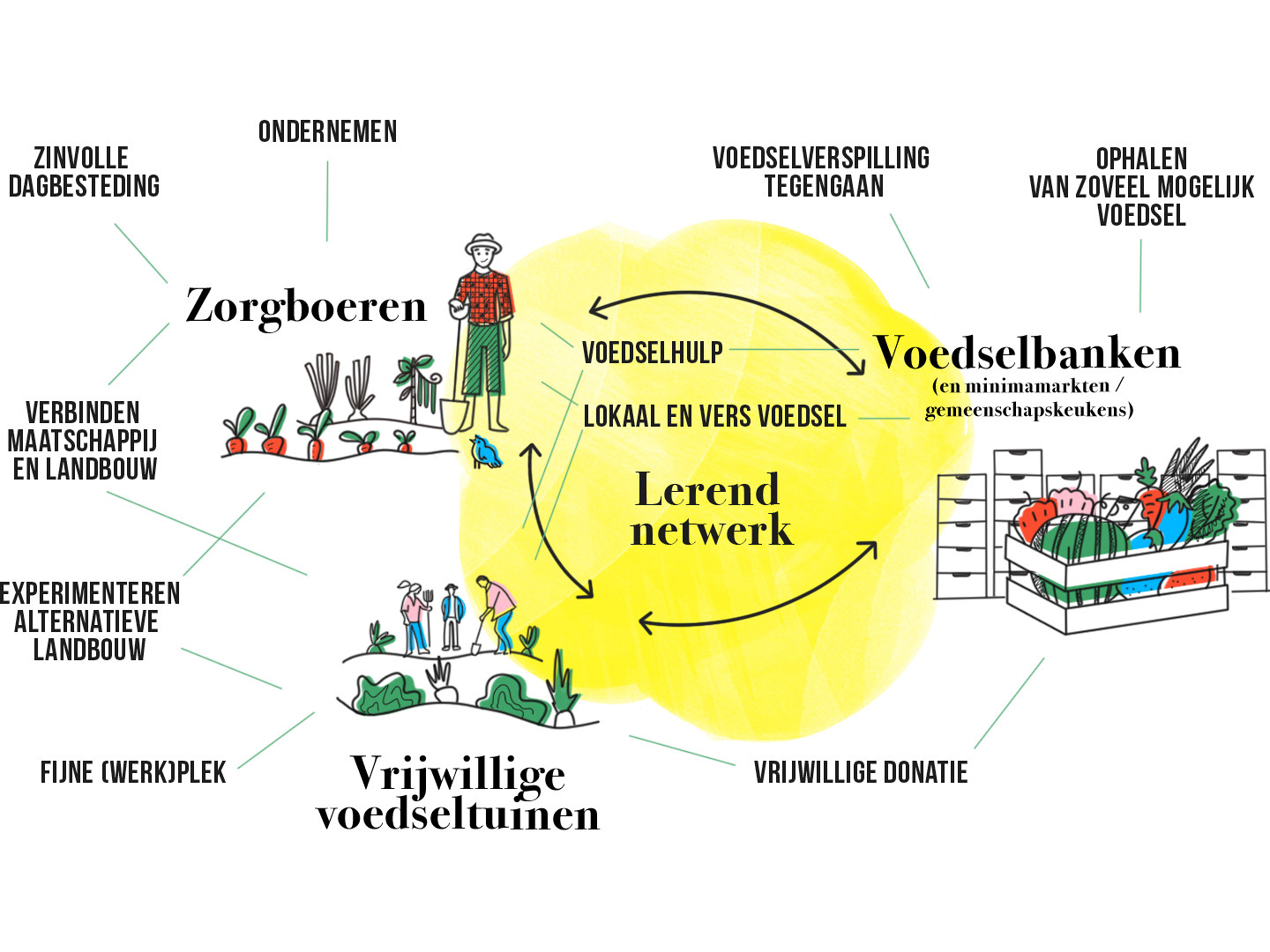 Infographic Lerend netwerk