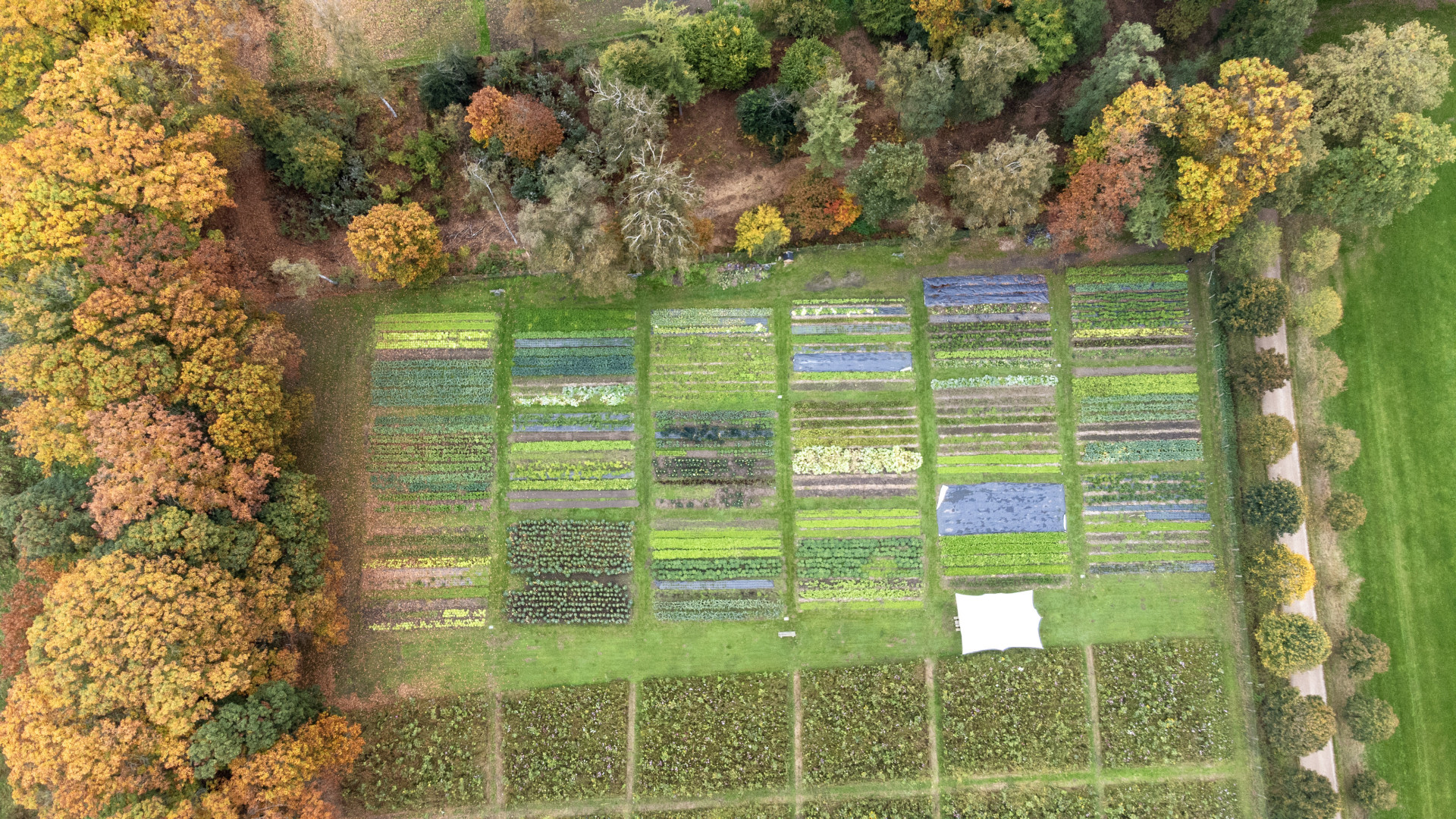 Stichting Fondsenbeheer Landbouw & Zorg