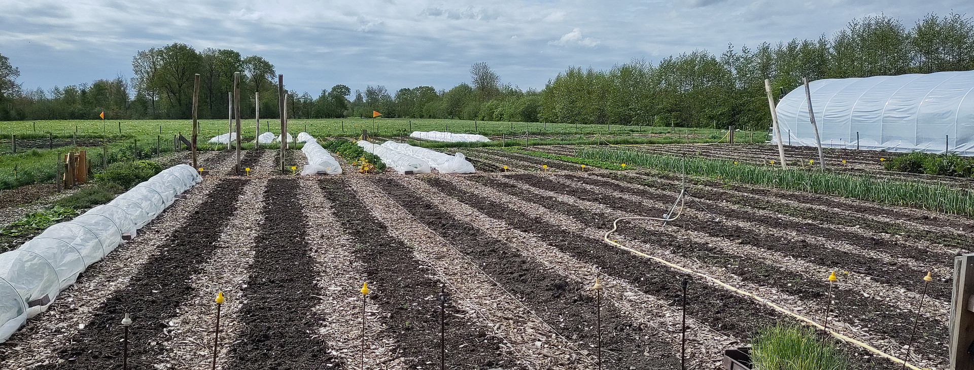 Nieuwe groentebedden in de tuin van boerderij Elzenhiem