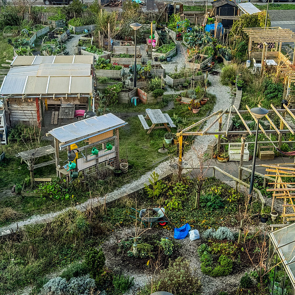 Overzichtsfoto van een informele gemeenschapstuin in de stad