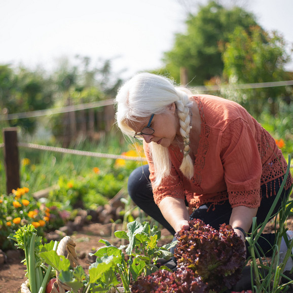 Vrouw met witte vlecht werkt in de moestuin